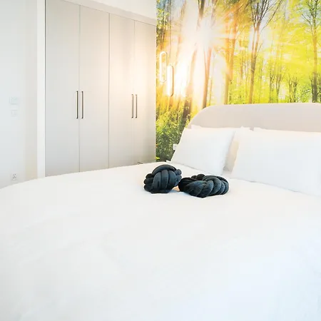 Forest View Zatoka Daire